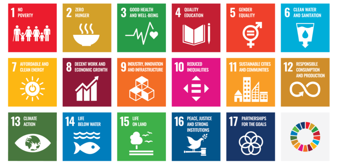 https://syenah.ai/wp-content/uploads/2024/09/SDGs1.png